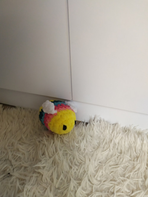 Rainbow bee — foto 2