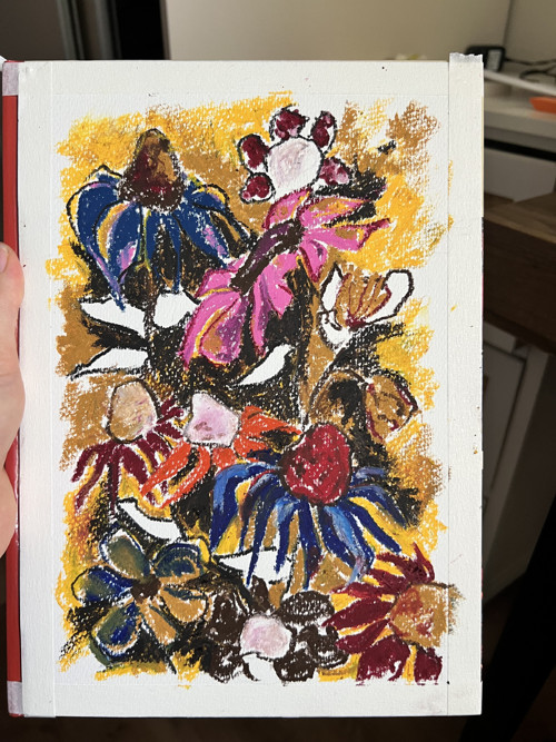 Ilustrace Echinacea 3 — foto 2