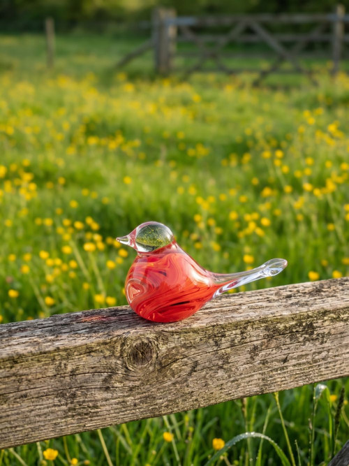 Skleněný ptáček Red spirála — foto 3