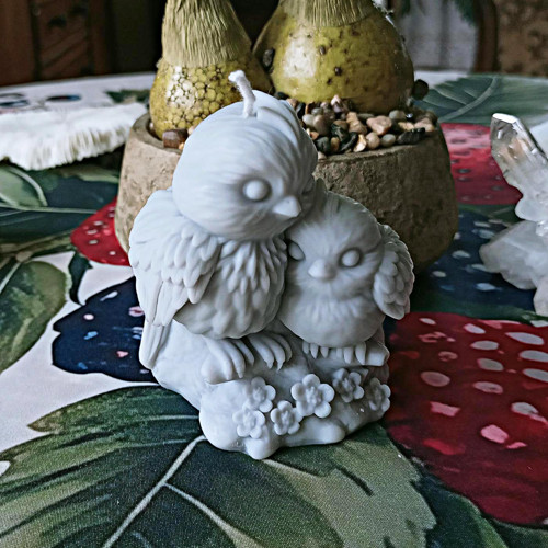 Ptáčci - sojová svíčka — foto 2