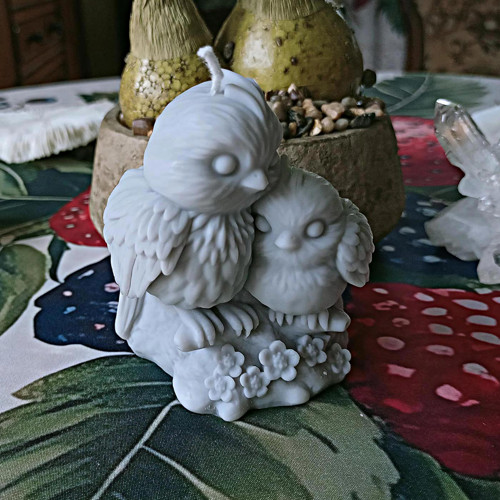 Ptáčci - sojová svíčka — foto 3