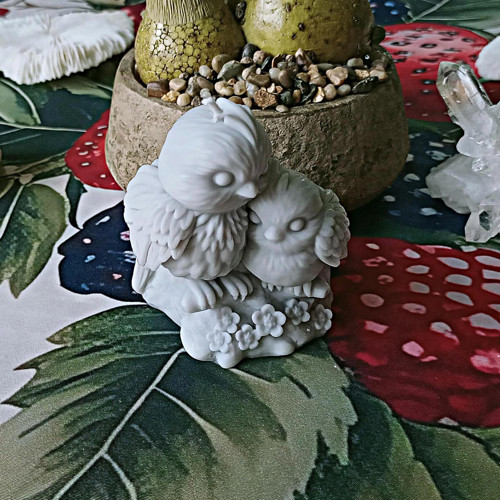 Ptáčci - sojová svíčka — foto 5