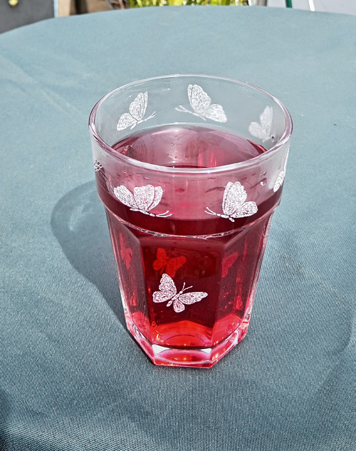 Letní skleničky — foto 4