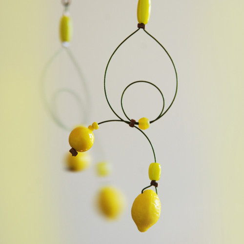 Citronády — foto 2