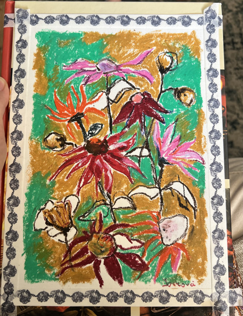 Echinacea pastel — foto 2