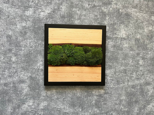 Mechový obraz 30x30cm — foto 2
