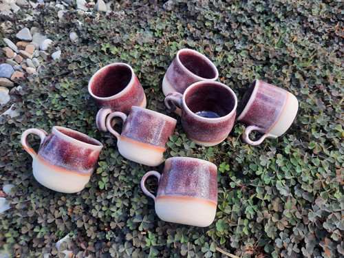 Purpurové hrnky — foto 5