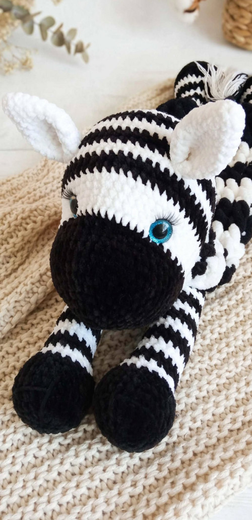 Návod zebra — foto 2