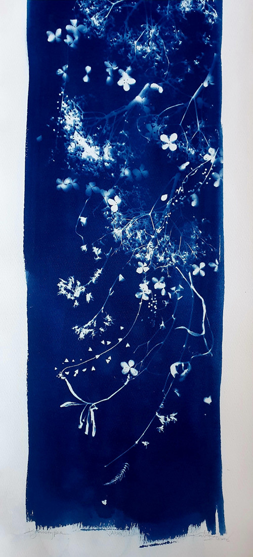 Velkoformátová kyanotypie "JAPAN - Sakury" — foto 5