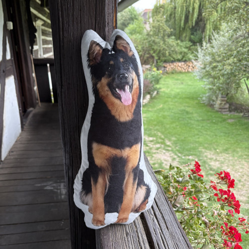 Polštář 3D - ovčák, vlčák — foto 2