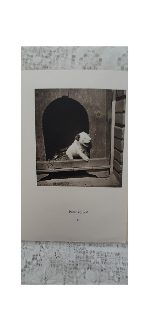 Dášeňka — foto 2