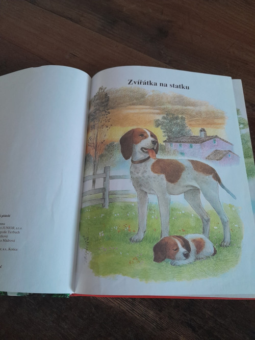 Zvířátka jsou naši přátelé — foto 2
