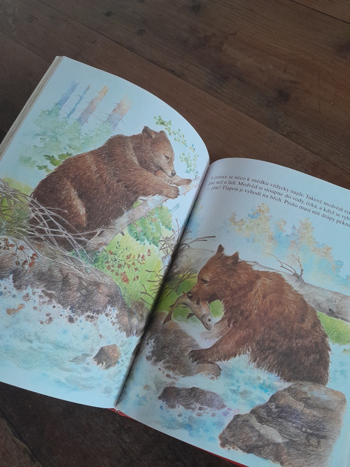Zvířátka jsou naši přátelé — foto 4