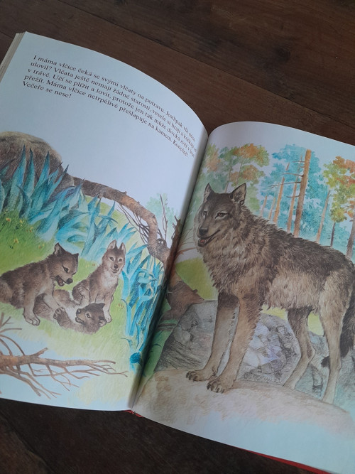 Zvířátka jsou naši přátelé — foto 3