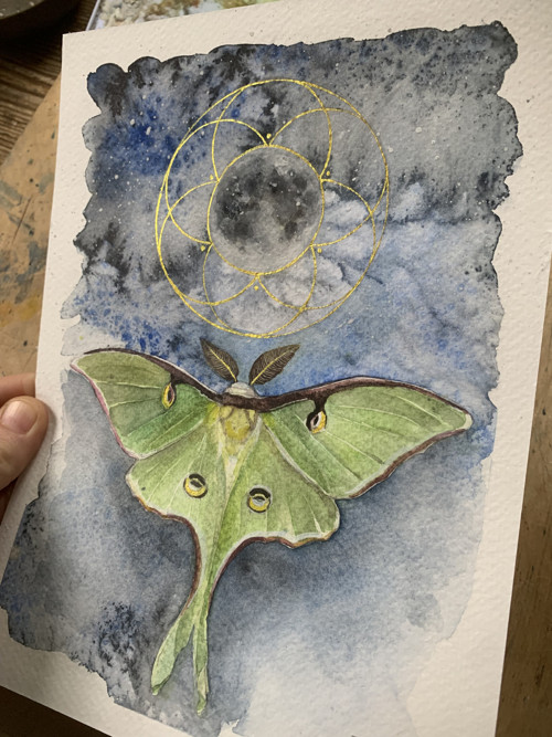 Luna — foto 4
