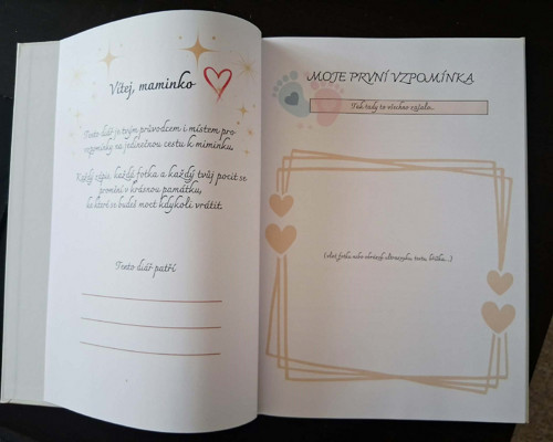 Můj těhotenský diář - rodinná kronika — foto 2