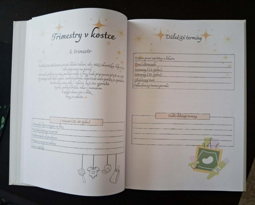 Můj těhotenský diář - rodinná kronika — foto 3