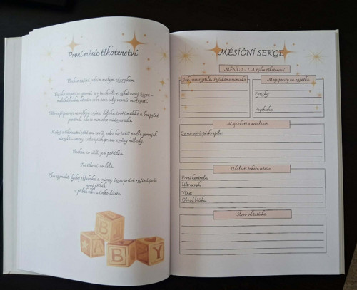 Můj těhotenský diář - rodinná kronika — foto 4