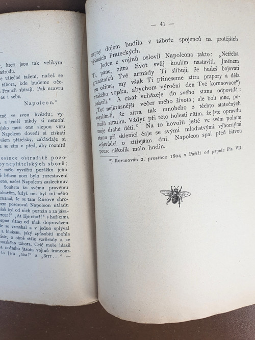 Bitva u Slavkova — foto 5
