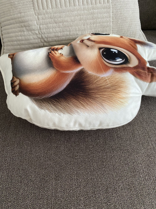 Polštář 3D - Veverka — foto 2