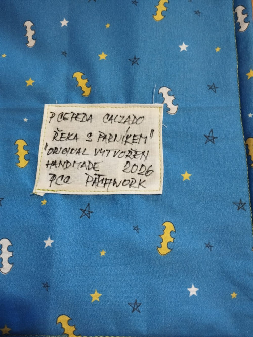 Obraz ŘEKA S PARNÍKEM — foto 2