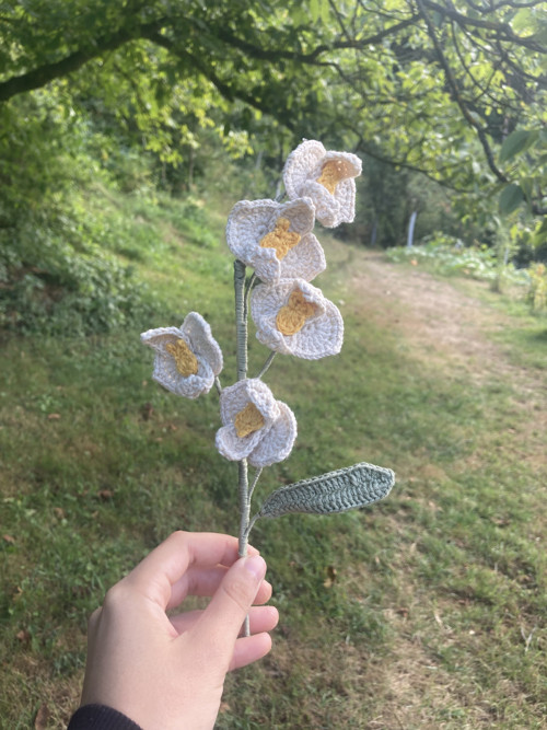 Jedna bílá orchidej - háčkovaná — foto 2