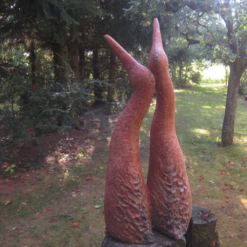 Ptáci — foto 6