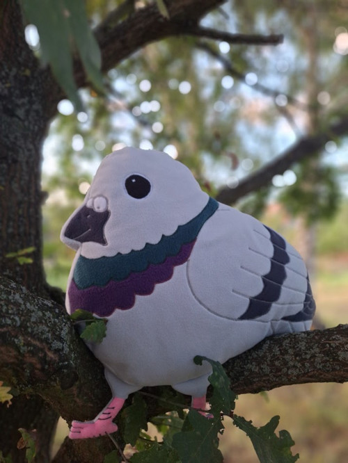 Holub - Polštář — foto 5