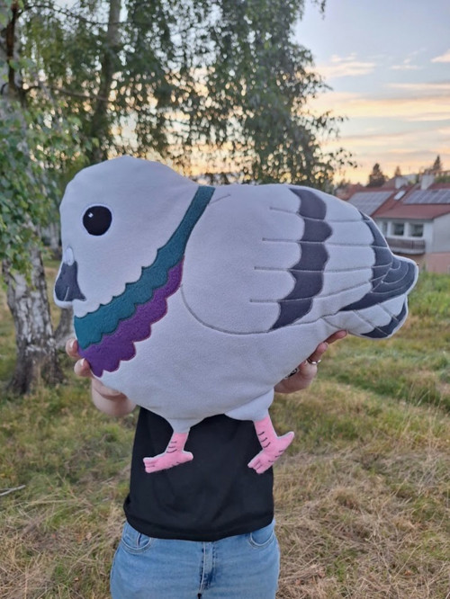Holub - Polštář — foto 6