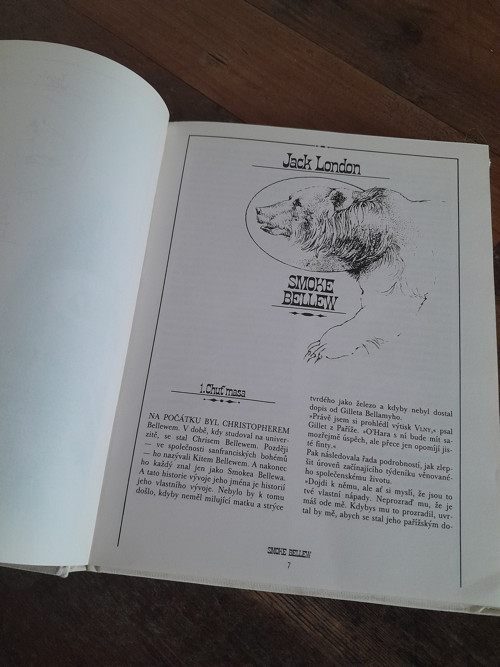 Mezi zlatokopy — foto 3