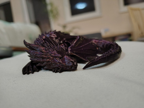 Hnědý metalický dráček — foto 4