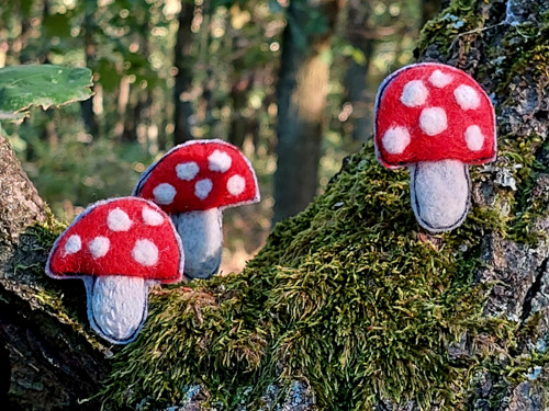 Muchomůrka... — foto 5
