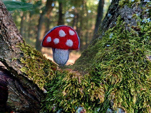 Muchomůrka... — foto 3