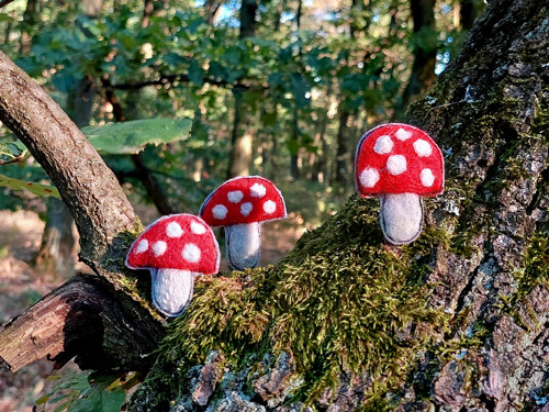 Muchomůrka... — foto 4