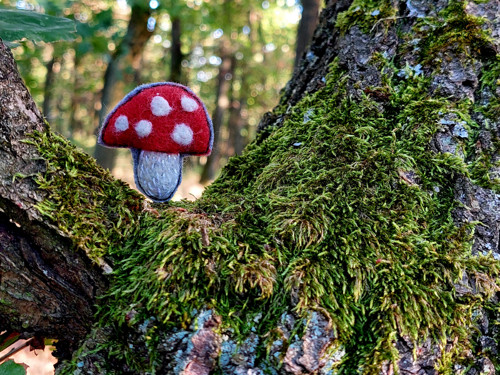Muchomůrka... — foto 2