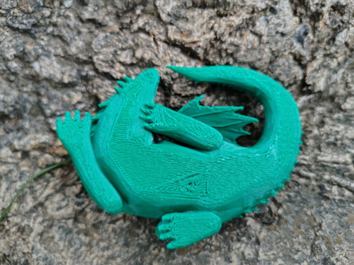 Zelený dráček — foto 5