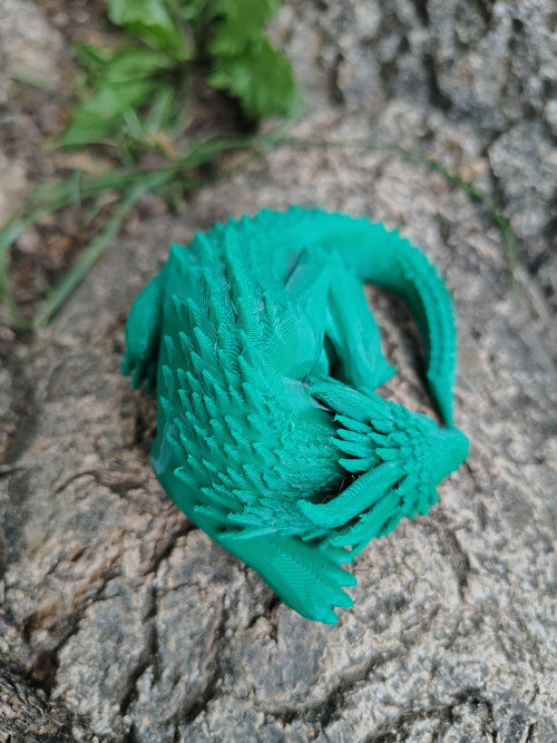 Zelený dráček — foto 4