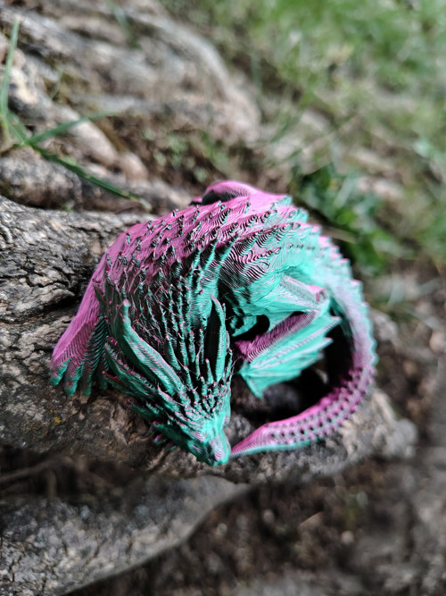 Zeleno-vínový dráček — foto 2