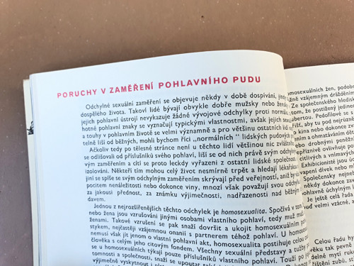 Čtení před manželstvím — foto 2