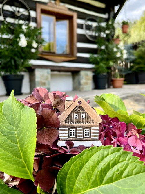 Roubenka hnědá — foto 3