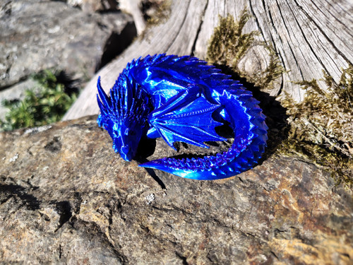 Modro-fialový dráček — foto 4