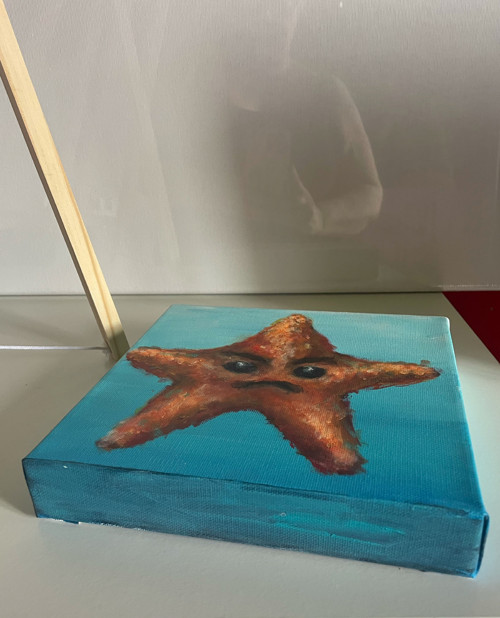 Nasrštvaná hvězdice — foto 5