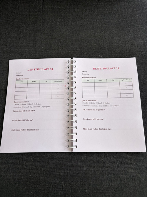 IVF Diář — foto 4