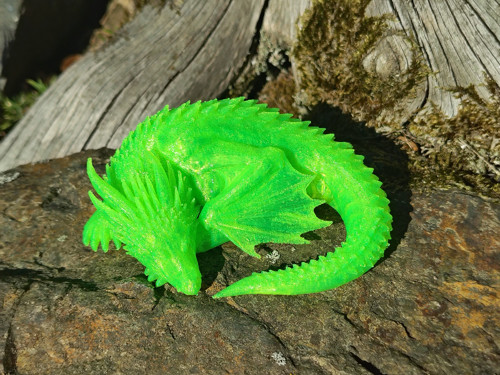 Výrazně zelený dráček — foto 2