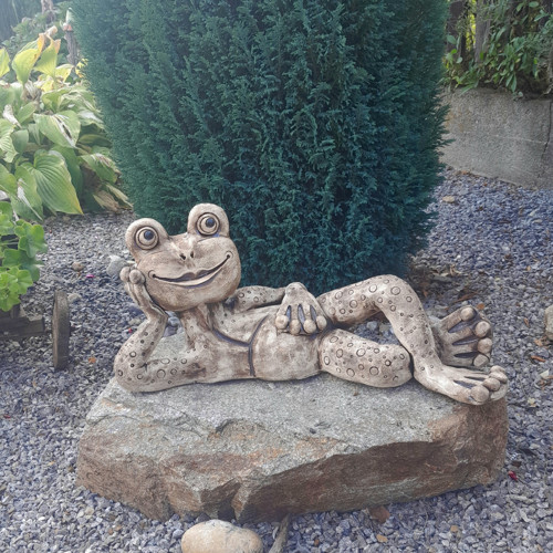 Žabák Lehárko — foto 2