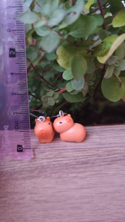Náušnice-kapybary-chirurgická ocel-zapínací — foto 2