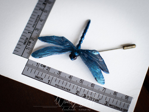 Brož Vážka — foto 2