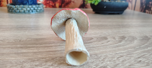 Pohádková muchomůrka — foto 3