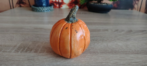 Dýně — foto 2