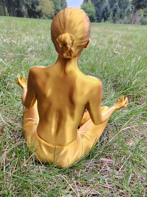 Golden meditation — foto 3